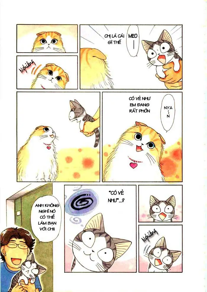 Truyện Tranh Mái Ấm Của Chi - Chii’s Sweet Home trang 3