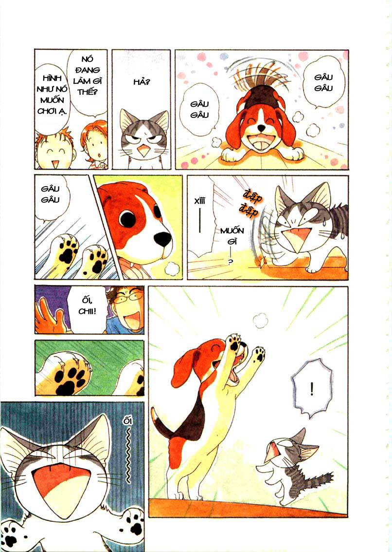 Truyện Tranh Mái Ấm Của Chi - Chii’s Sweet Home trang 3