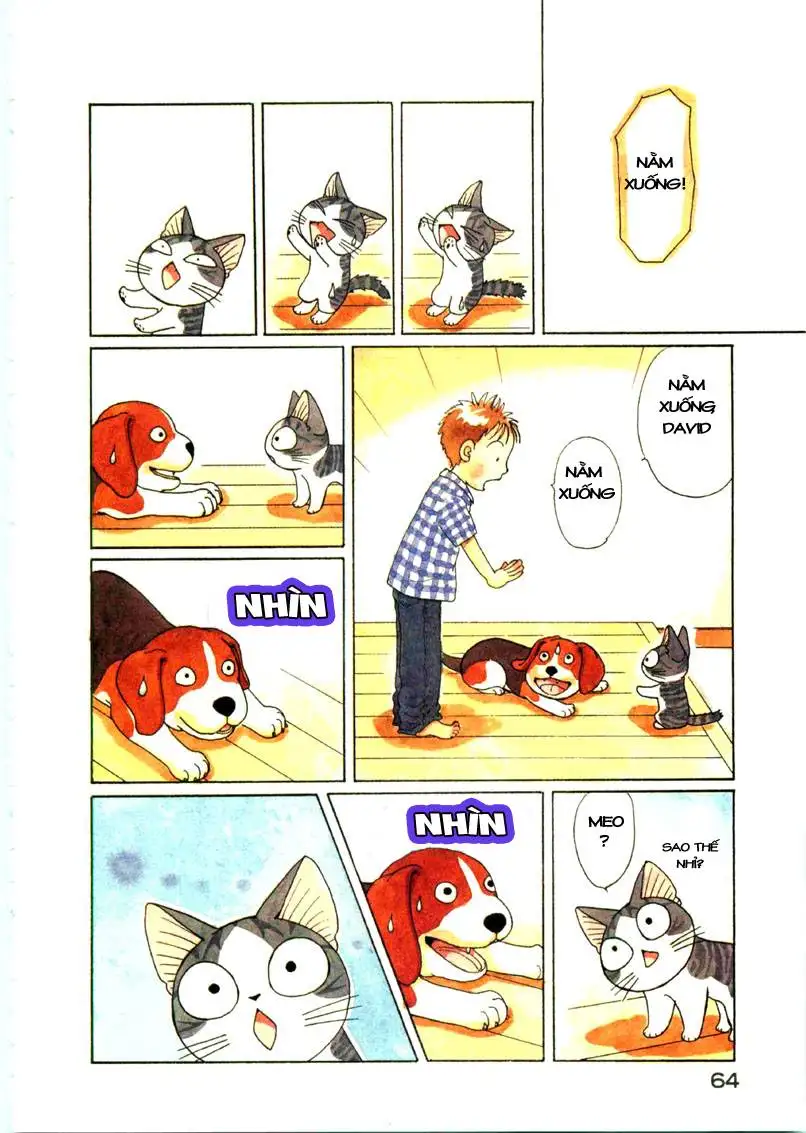 Truyện Tranh Mái Ấm Của Chi - Chii’s Sweet Home trang 3