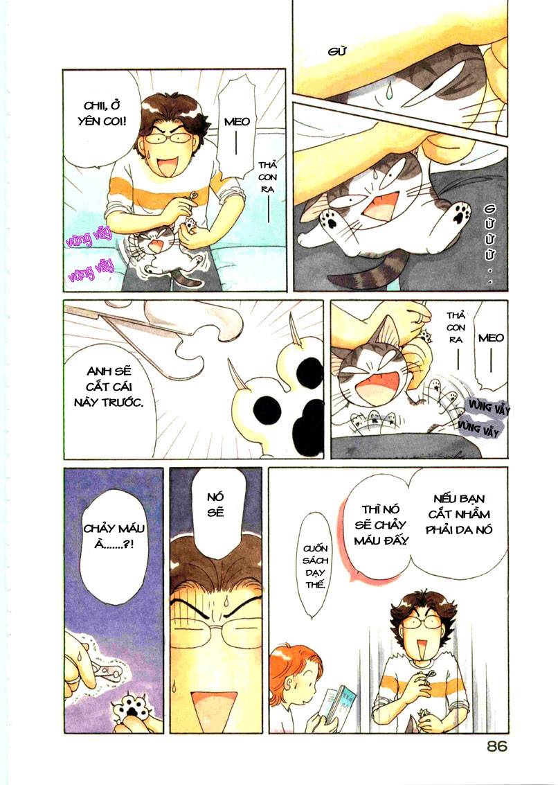 Truyện Tranh Mái Ấm Của Chi - Chii’s Sweet Home trang 3