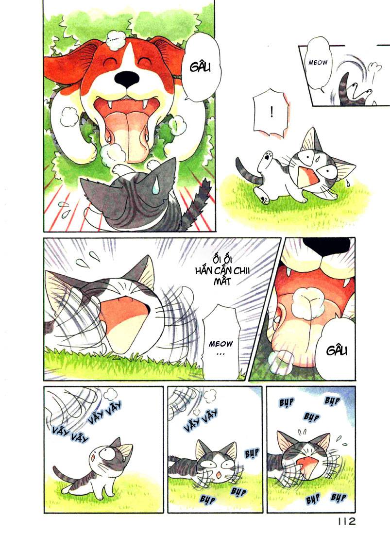 Truyện Tranh Mái Ấm Của Chi - Chii’s Sweet Home trang 3