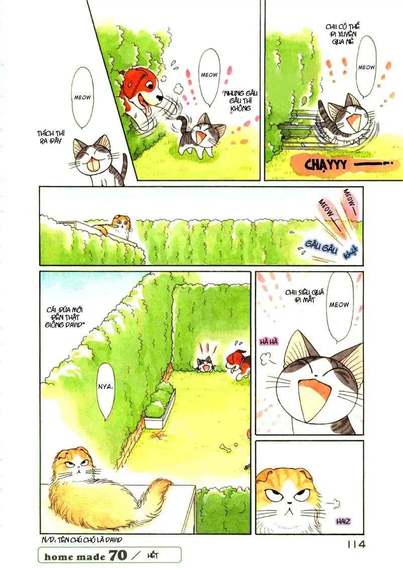 Truyện Tranh Mái Ấm Của Chi - Chii’s Sweet Home trang 3