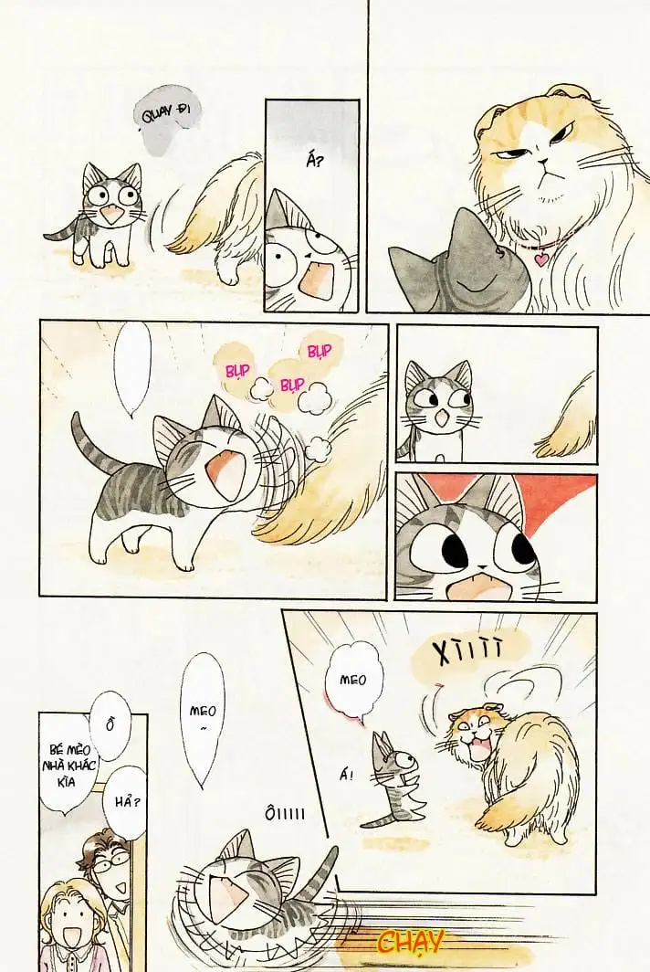 Truyện Tranh Mái Ấm Của Chi - Chii’s Sweet Home trang 3