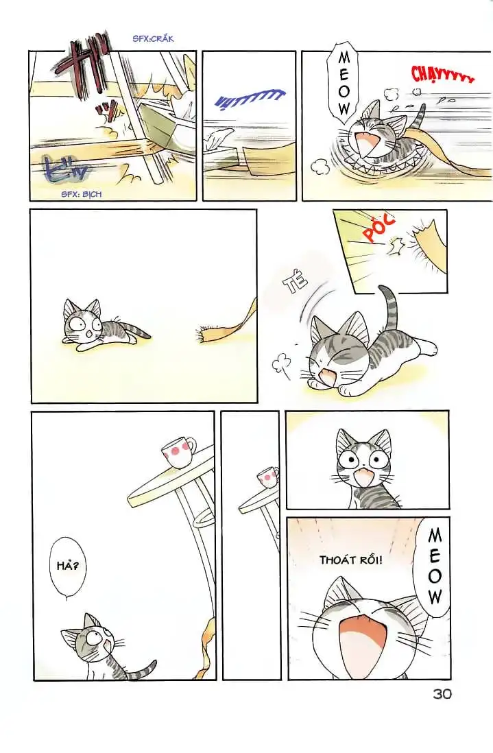 Truyện Tranh Mái Ấm Của Chi - Chii’s Sweet Home trang 3