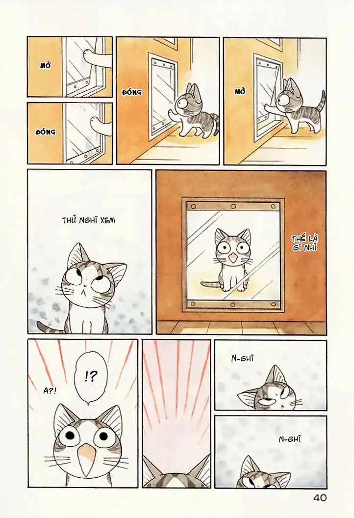 Truyện Tranh Mái Ấm Của Chi - Chii’s Sweet Home trang 3