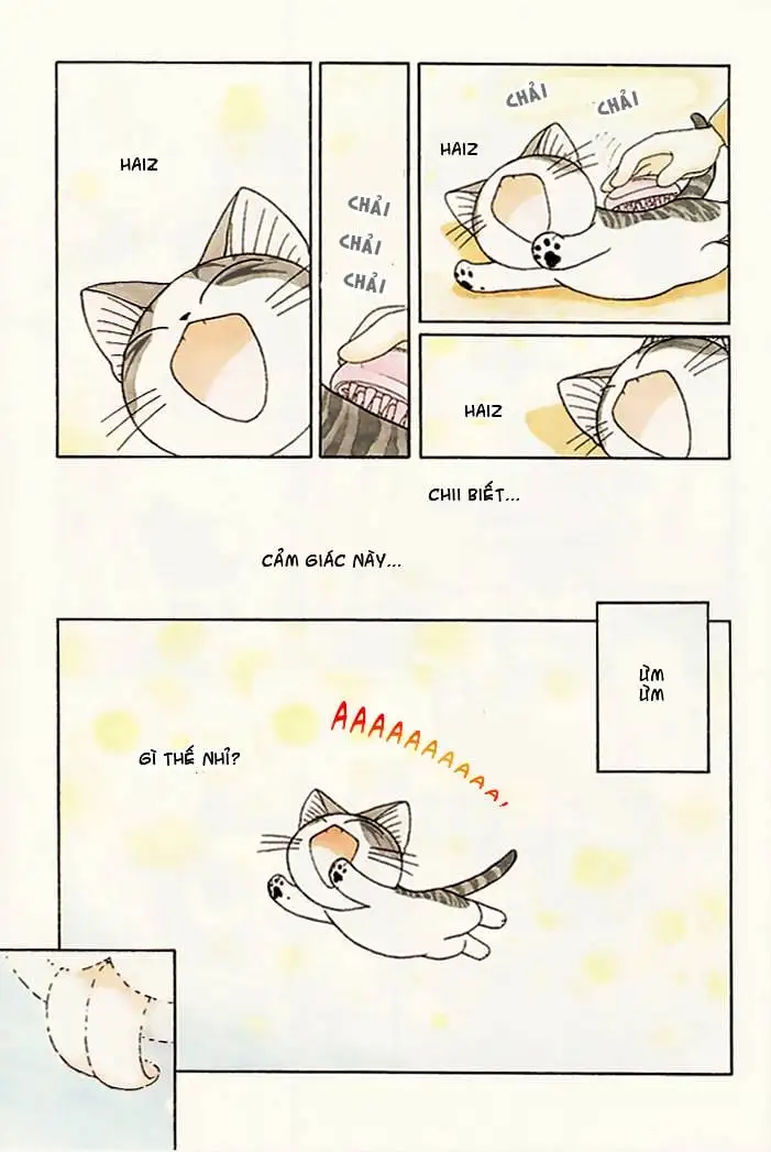 Truyện Tranh Mái Ấm Của Chi - Chii’s Sweet Home trang 3