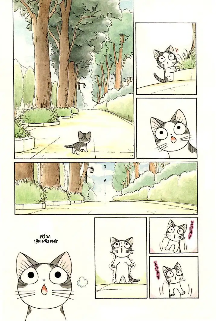 Truyện Tranh Mái Ấm Của Chi - Chii’s Sweet Home trang 3