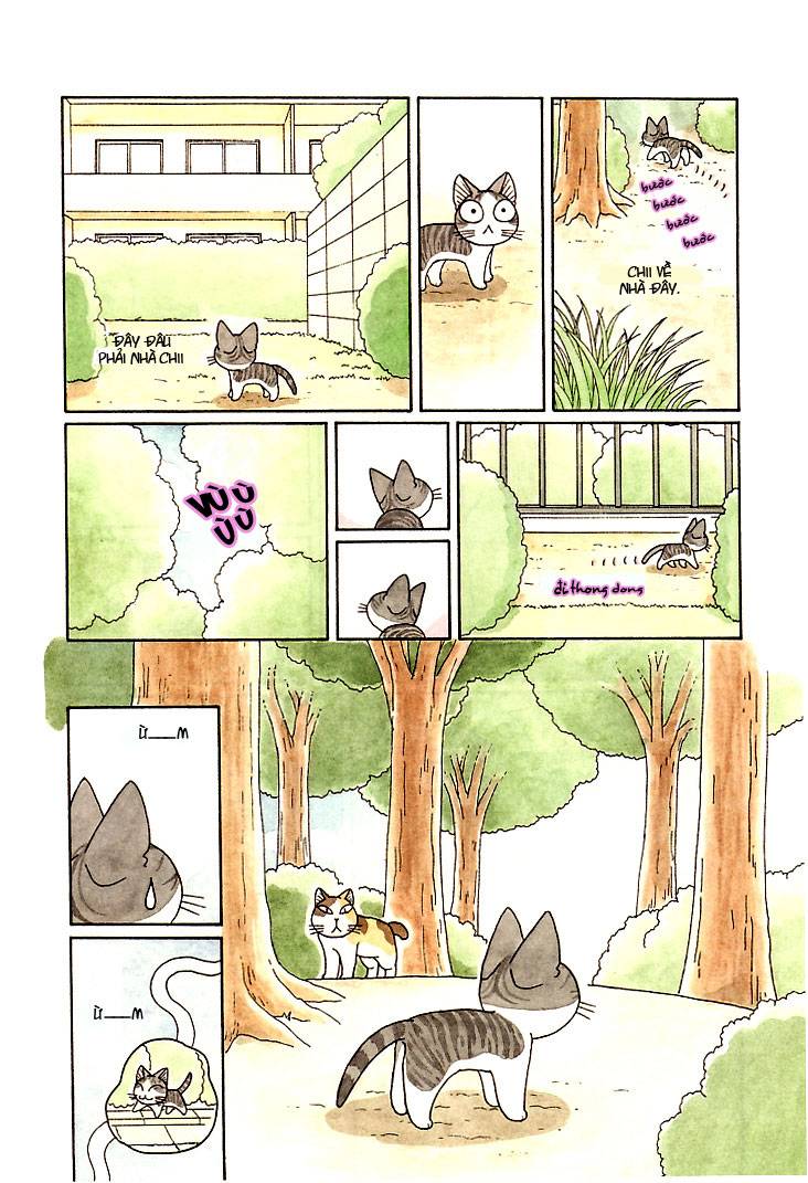 Truyện Tranh Mái Ấm Của Chi - Chii’s Sweet Home trang 3