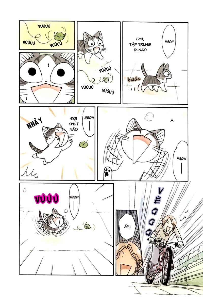 Truyện Tranh Mái Ấm Của Chi - Chii’s Sweet Home trang 3
