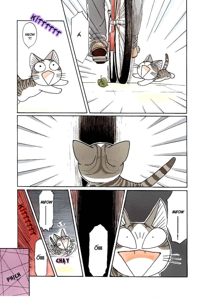 Truyện Tranh Mái Ấm Của Chi - Chii’s Sweet Home trang 3