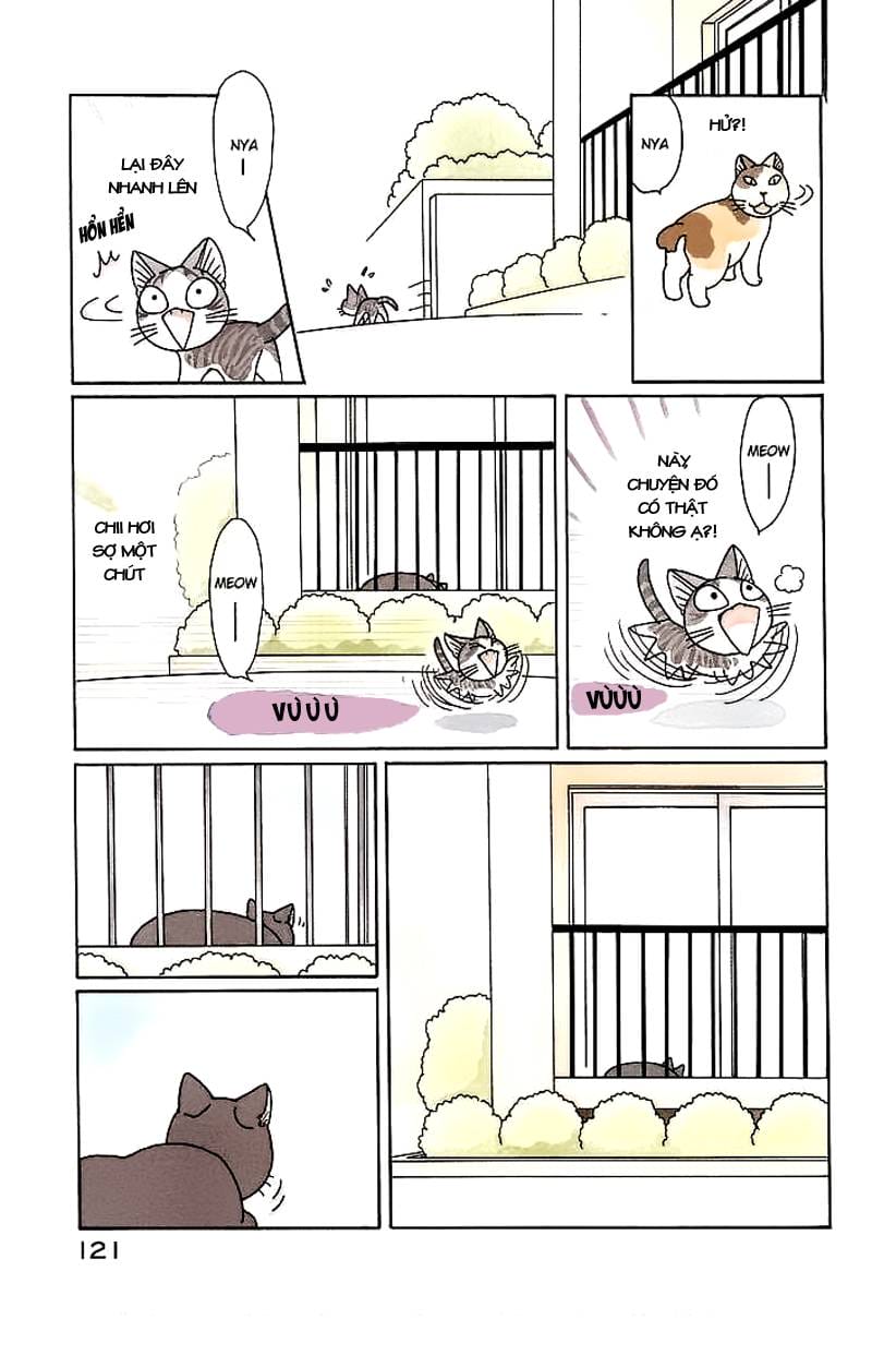 Truyện Tranh Mái Ấm Của Chi - Chii’s Sweet Home trang 3
