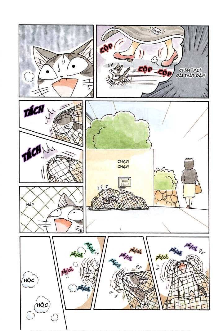 Truyện Tranh Mái Ấm Của Chi - Chii’s Sweet Home trang 3