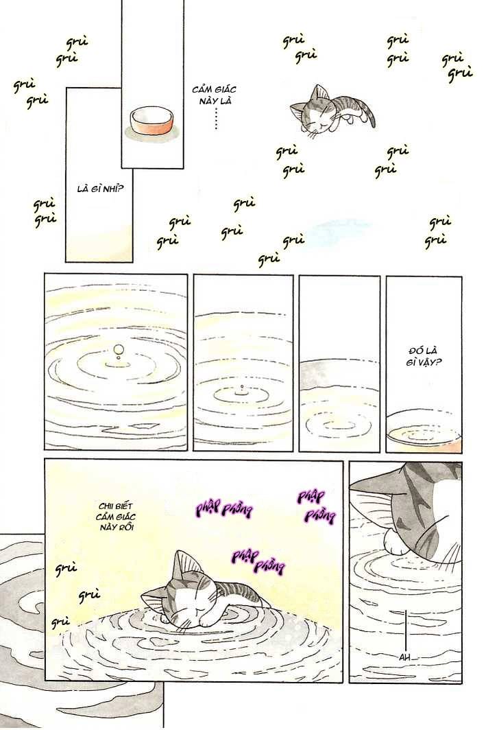 Truyện Tranh Mái Ấm Của Chi - Chii’s Sweet Home trang 3