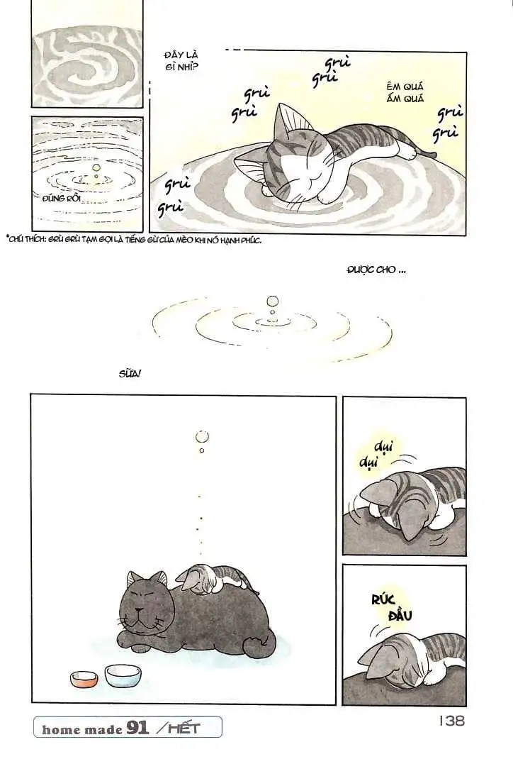 Truyện Tranh Mái Ấm Của Chi - Chii’s Sweet Home trang 3