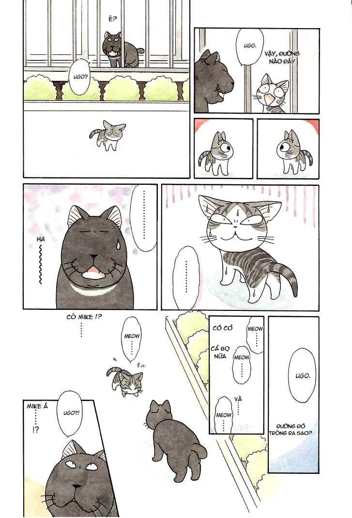 Truyện Tranh Mái Ấm Của Chi - Chii’s Sweet Home trang 3