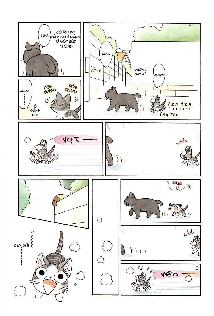 Truyện Tranh Mái Ấm Của Chi - Chii’s Sweet Home trang 3