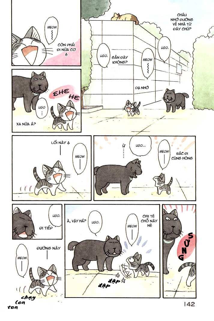 Truyện Tranh Mái Ấm Của Chi - Chii’s Sweet Home trang 3