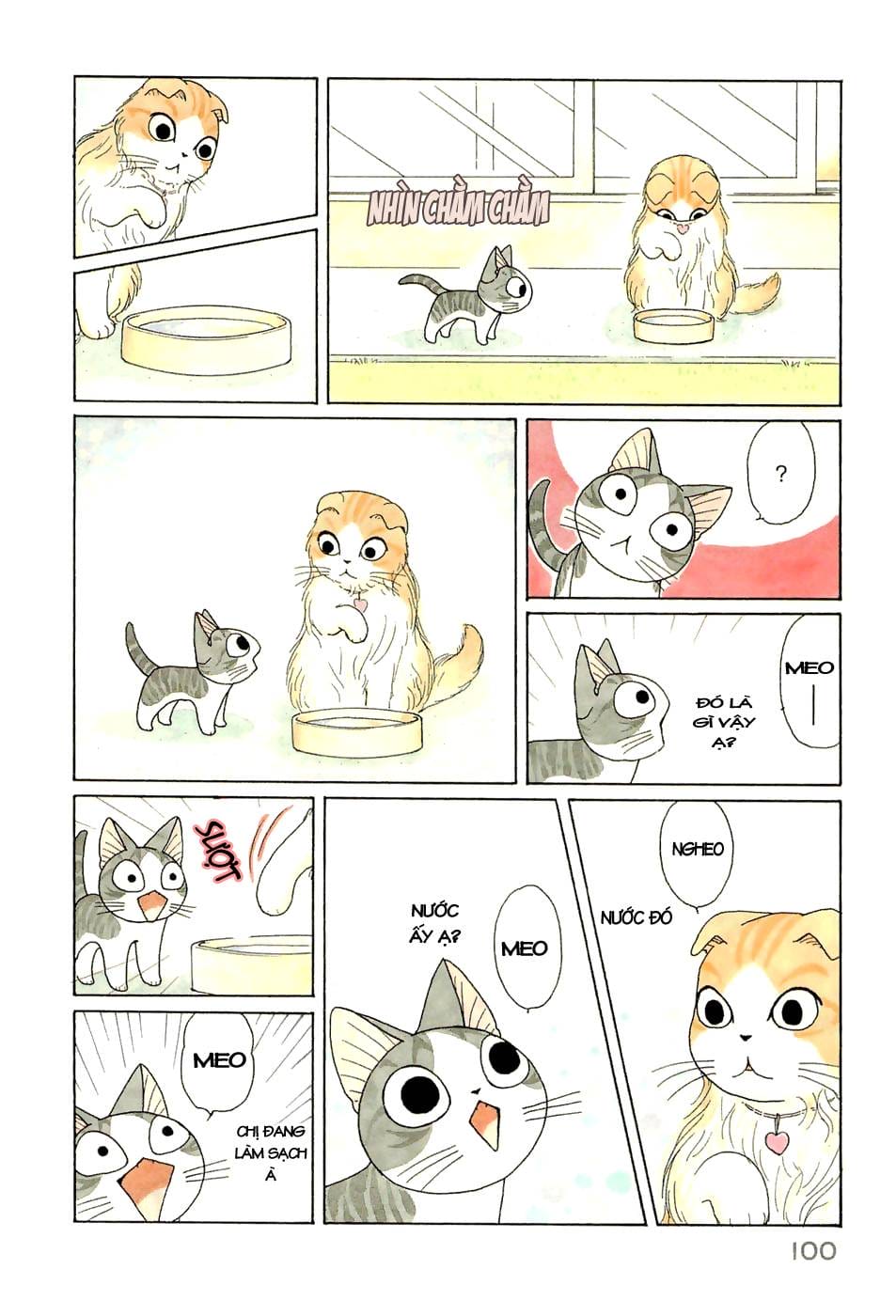 Truyện Tranh Mái Ấm Của Chi - Chii’s Sweet Home trang 3