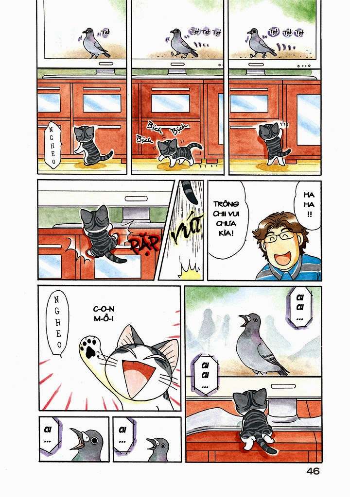 Truyện Tranh Mái Ấm Của Chi - Chii’s Sweet Home trang 3