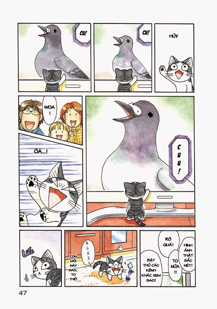 Truyện Tranh Mái Ấm Của Chi - Chii’s Sweet Home trang 3