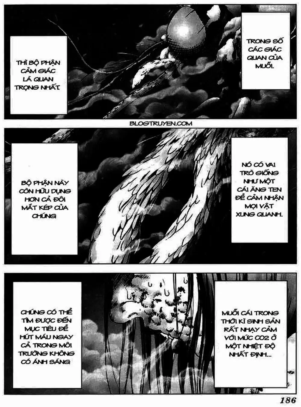 Truyện Tranh Sát Nhân Cống Ngầm - Manhole trang 5