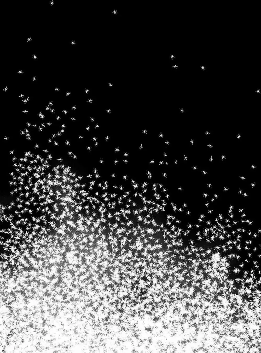 Truyện Tranh Sát Nhân Cống Ngầm - Manhole trang 5