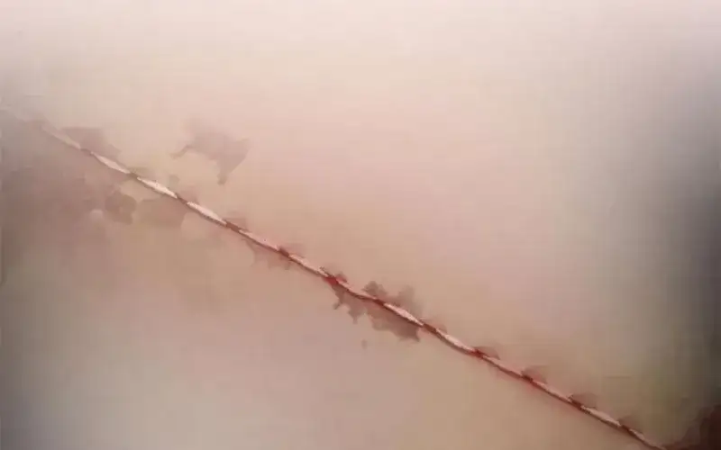 Truyện Tranh Một Anh Hùng Giỏi Mọi Thứ trang 6