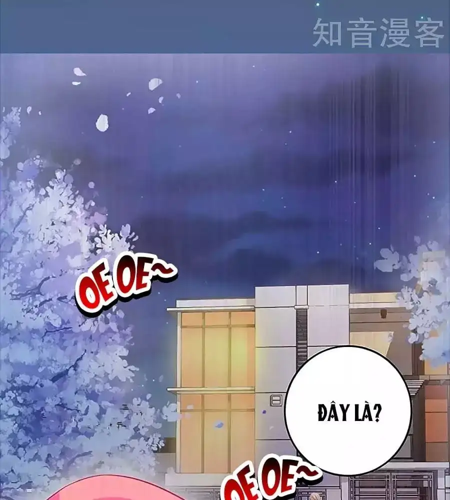 Truyện Tranh Một Thai Hai Bảo: Đưa Mami Về Nhà! trang 4