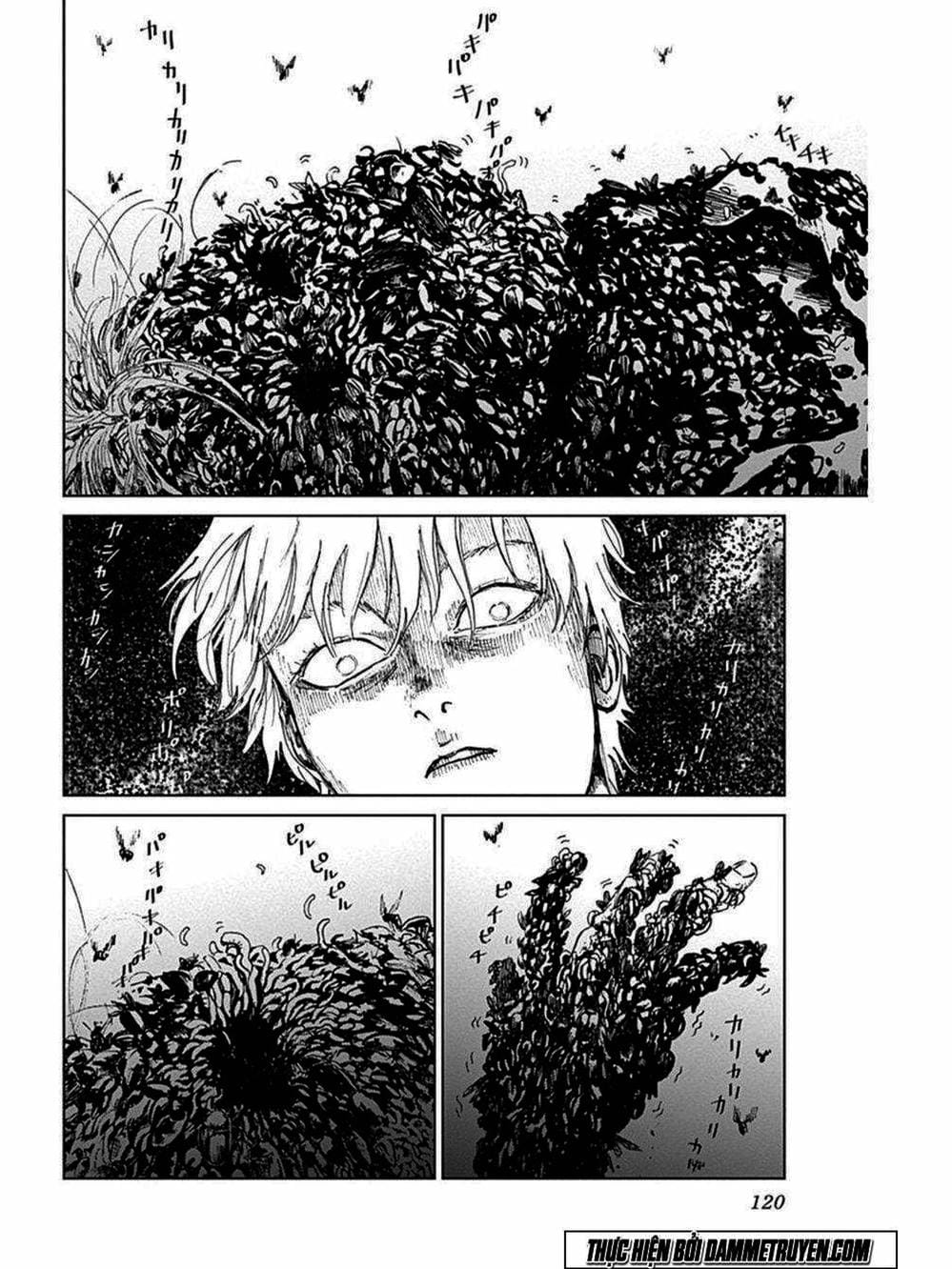 Truyện Tranh Nữ Chúa Côn Trùng - Mushihime trang 4