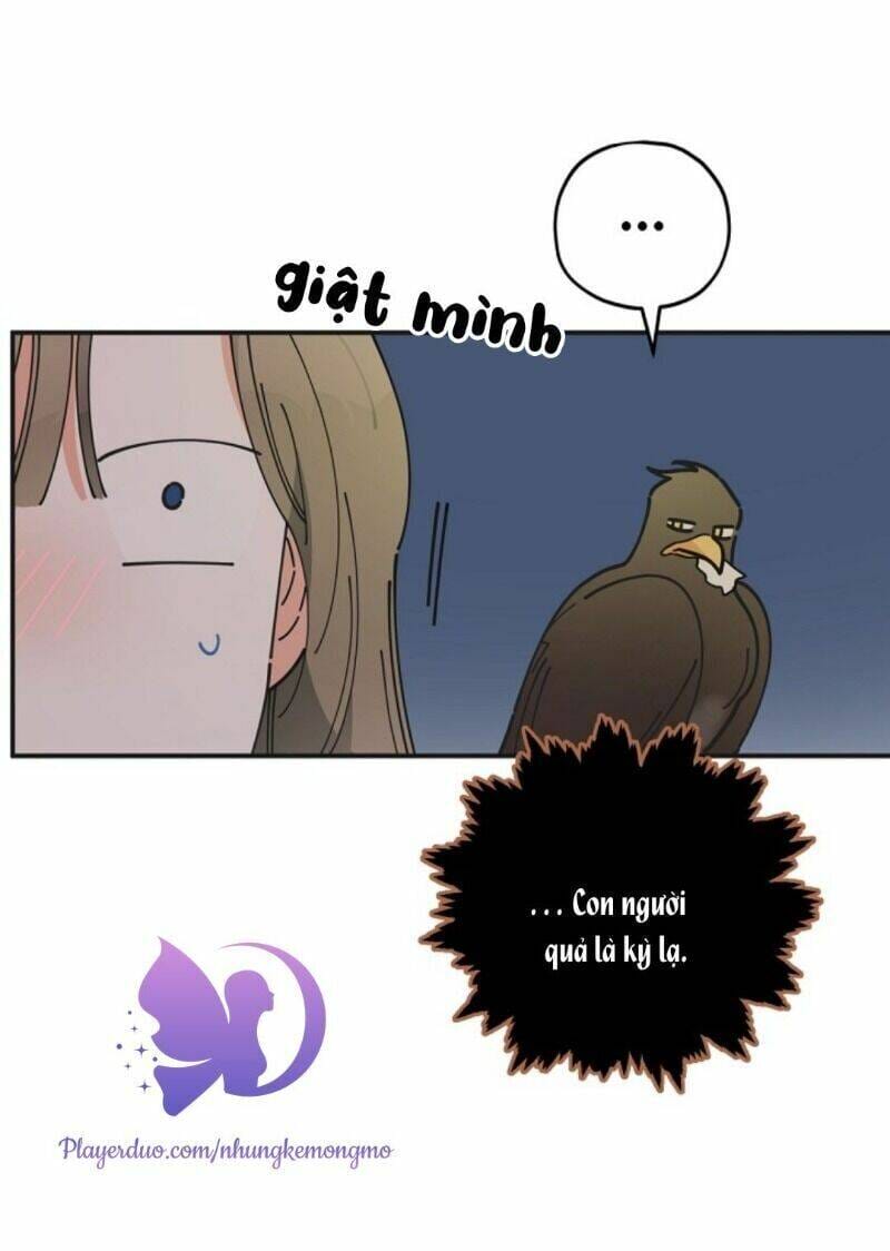 Truyện Tranh Người Hùng Của Ác Nữ - The Devil Lady’s Hero trang 6