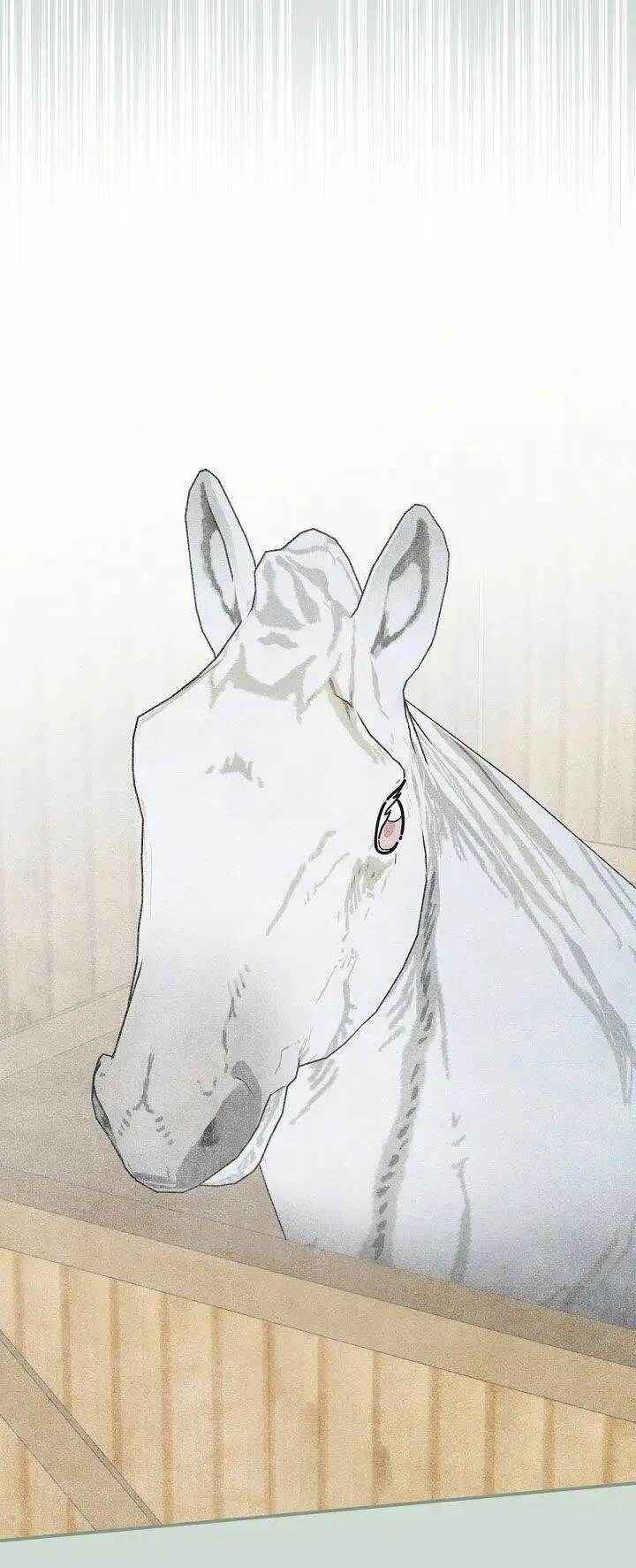 Truyện Tranh Người Hùng Của Ác Nữ - The Devil Lady’s Hero trang 6