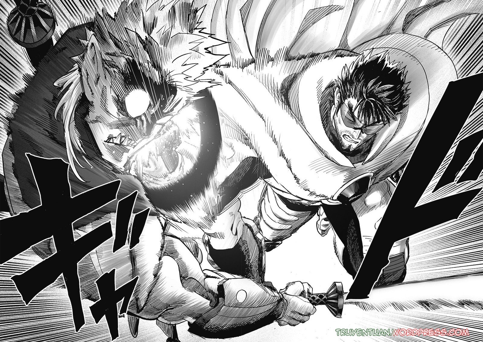 Truyện Tranh Anh Hùng: One-Punch Man trang 8603