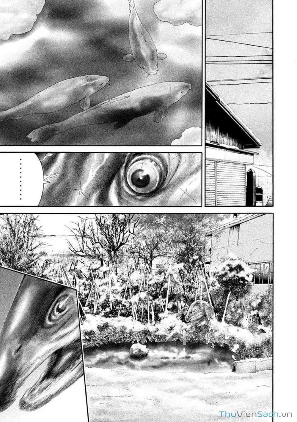 Truyện Tranh Người Cá Hồi - Salman trang 6