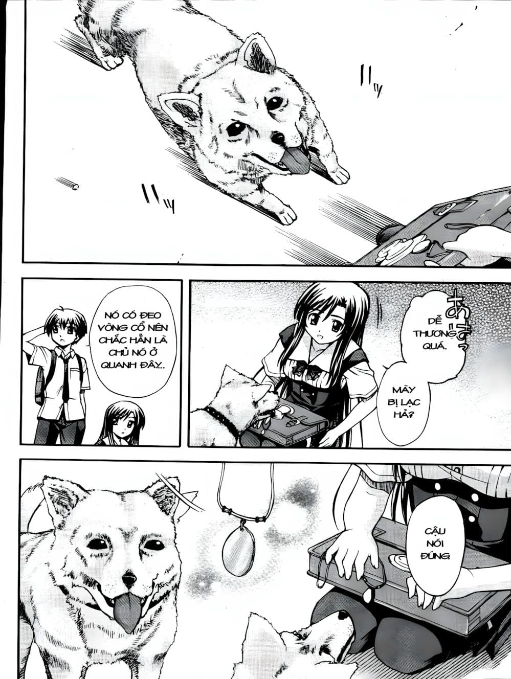 Truyện Tranh Học Đường - School Days trang 6