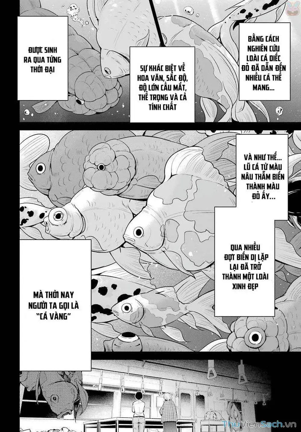 Truyện Tranh Cá Vàng Sát Thủ - Shibuya Kingyo trang 4