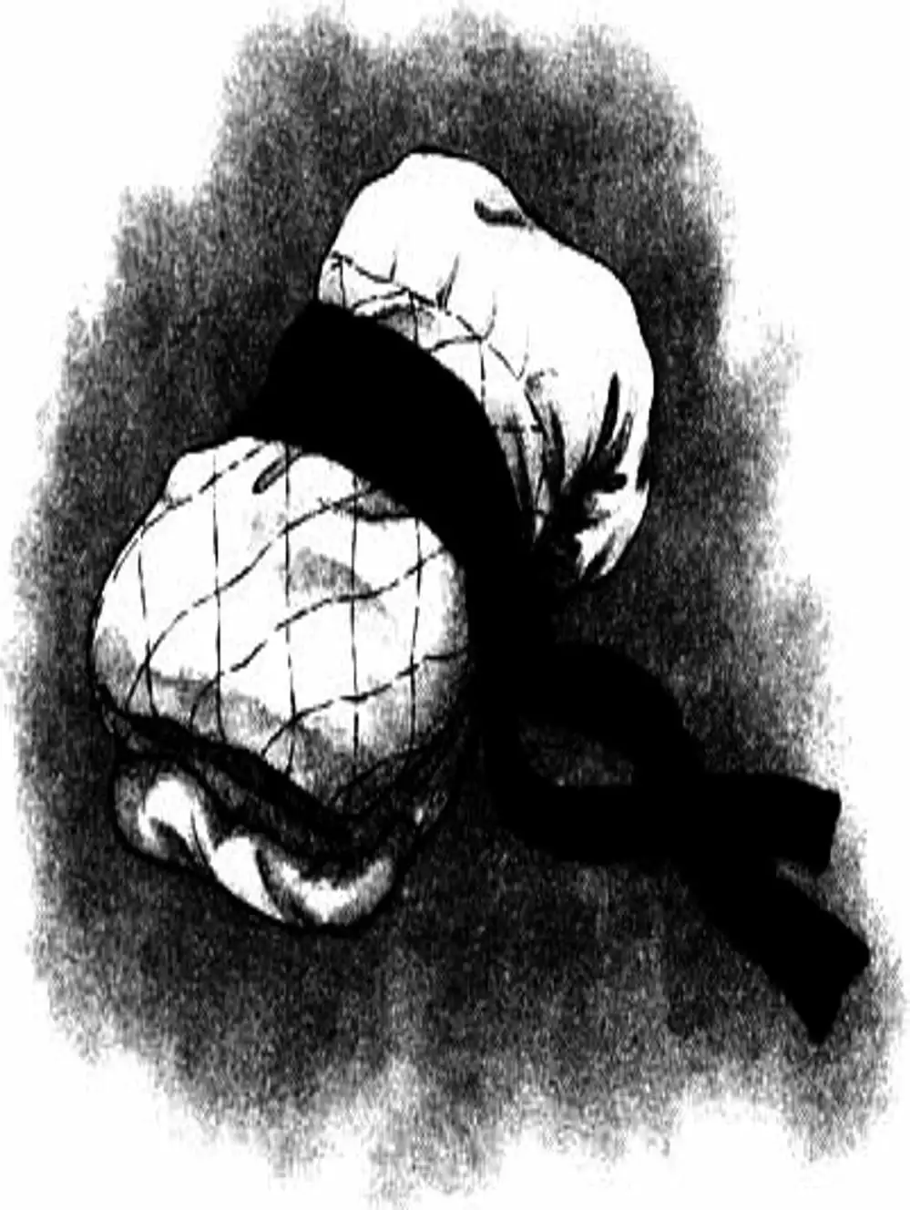 Truyện Tranh Đại Ca Đi Học Judo - Shin Kotaro Makaritoru! Juudouhen trang 5