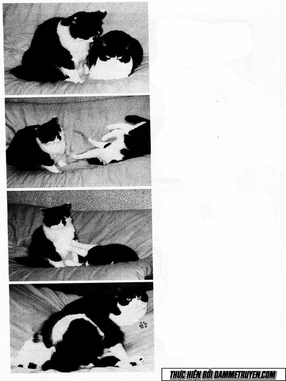 Truyện Tranh Đại Ca Đi Học Judo - Shin Kotaro Makaritoru! Juudouhen trang 5