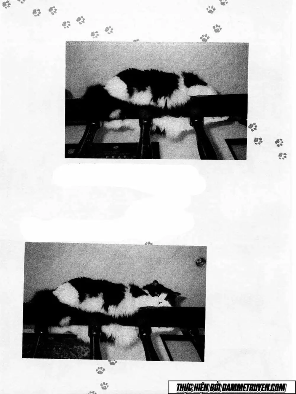 Truyện Tranh Đại Ca Đi Học Judo - Shin Kotaro Makaritoru! Juudouhen trang 5