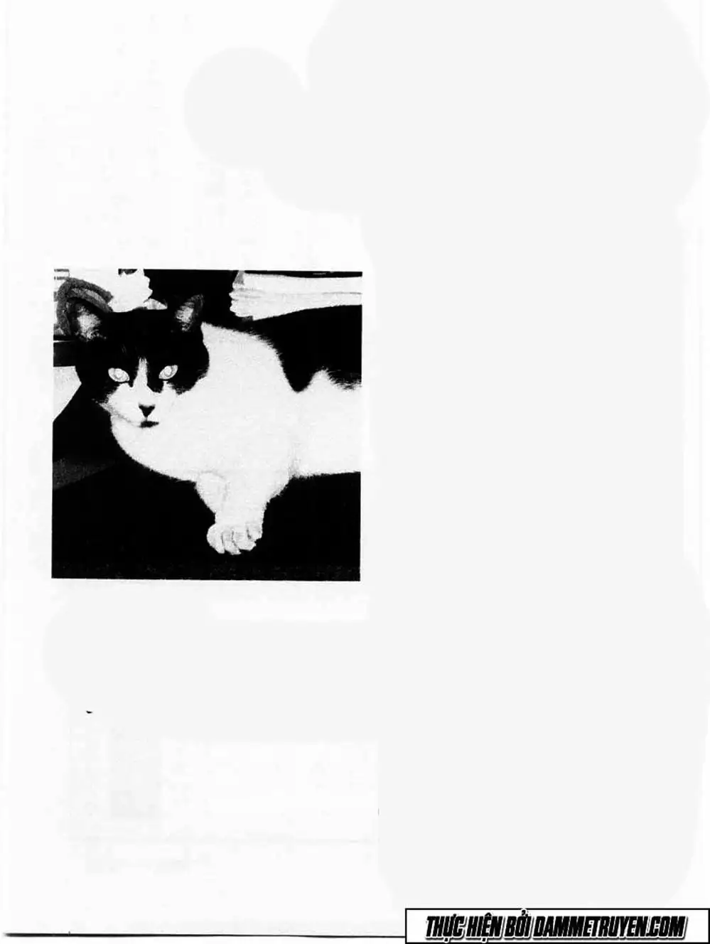 Truyện Tranh Đại Ca Đi Học Judo - Shin Kotaro Makaritoru! Juudouhen trang 5