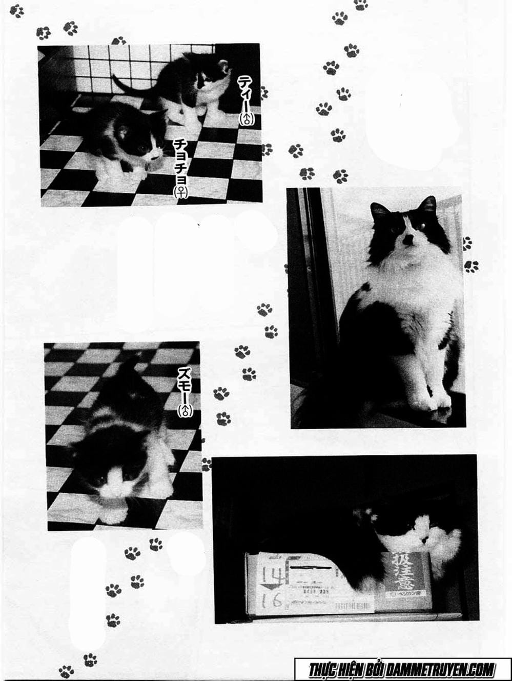 Truyện Tranh Đại Ca Đi Học Judo - Shin Kotaro Makaritoru! Juudouhen trang 5