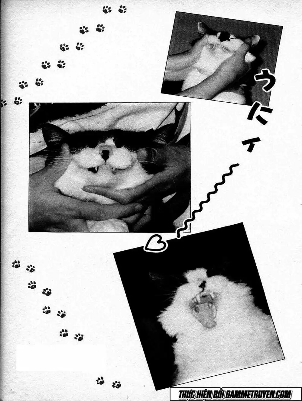 Truyện Tranh Đại Ca Đi Học Judo - Shin Kotaro Makaritoru! Juudouhen trang 5