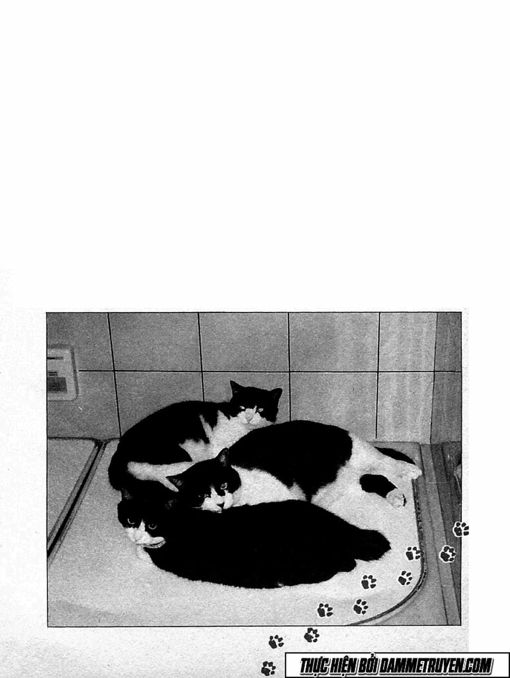 Truyện Tranh Đại Ca Đi Học Judo - Shin Kotaro Makaritoru! Juudouhen trang 5