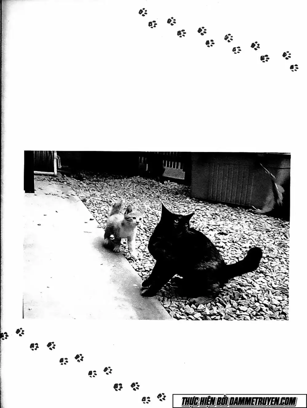 Truyện Tranh Đại Ca Đi Học Judo - Shin Kotaro Makaritoru! Juudouhen trang 5