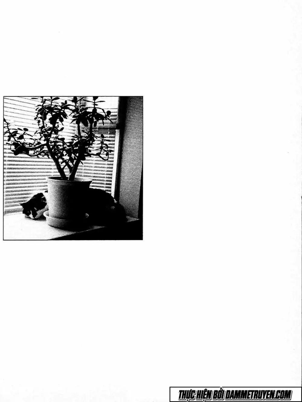 Truyện Tranh Đại Ca Đi Học Judo - Shin Kotaro Makaritoru! Juudouhen trang 5