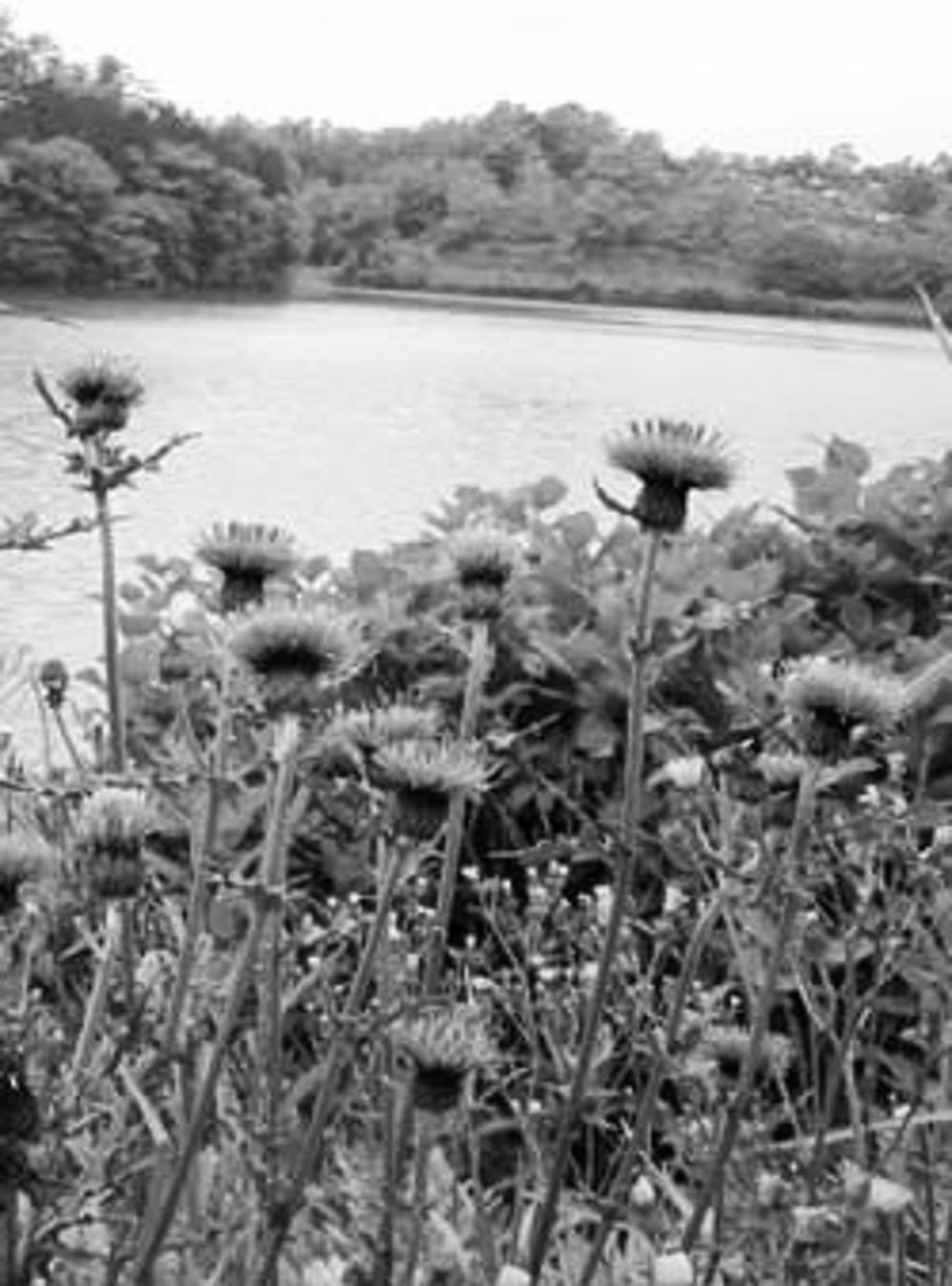 Truyện Tranh Sói Mang Con - Lone Wolf And Cub trang 5