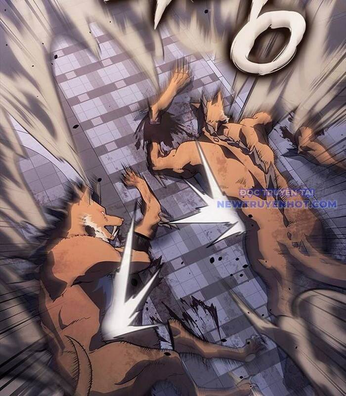 Truyện Tranh Solo Leveling Arise: Nguồn Gốc Của Thợ Săn trang 3