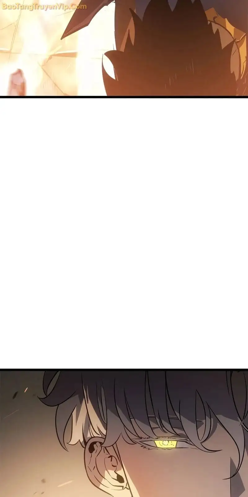 Truyện Tranh Solo Leveling - Tôi Thăng Cấp Một Mình: Tận Thế Ragnarok trang 3