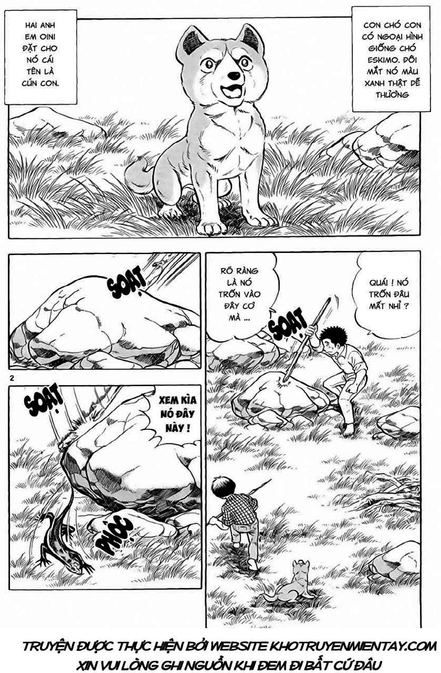 Truyện Tranh Sống Sót Trên Đảo Hoang - Survival In The Solitary Island trang 3