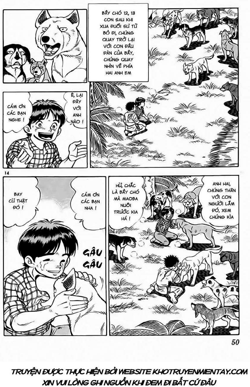 Truyện Tranh Sống Sót Trên Đảo Hoang - Survival In The Solitary Island trang 3