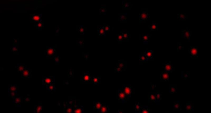 Truyện Tranh Ta Sáng Tạo Truyền Thuyết Đô Thị trang 4